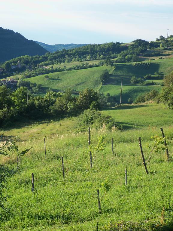 Poggio D'Incanto Bettola  Экстерьер фото