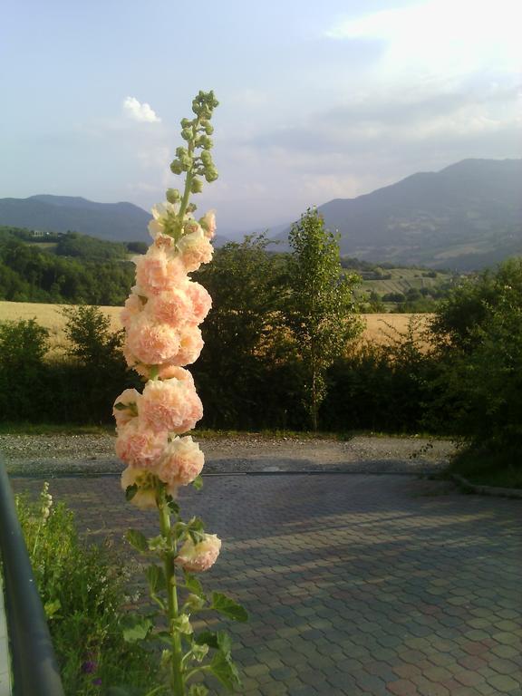 Poggio D'Incanto Bettola  Экстерьер фото
